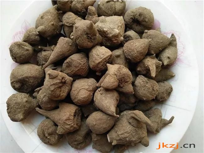 生附子
