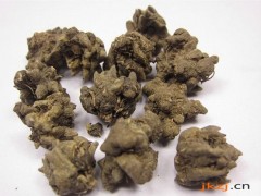猫爪草的功效与作用，猫爪草的图片，猫爪草用法及注意事项