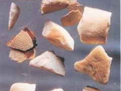 海螵蛸的功效与作用，海螵蛸的图片，海螵蛸用法及注意事项