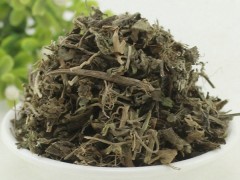 铁苋菜的功效与作用，铁苋菜的图片，铁苋菜用法及注意事项