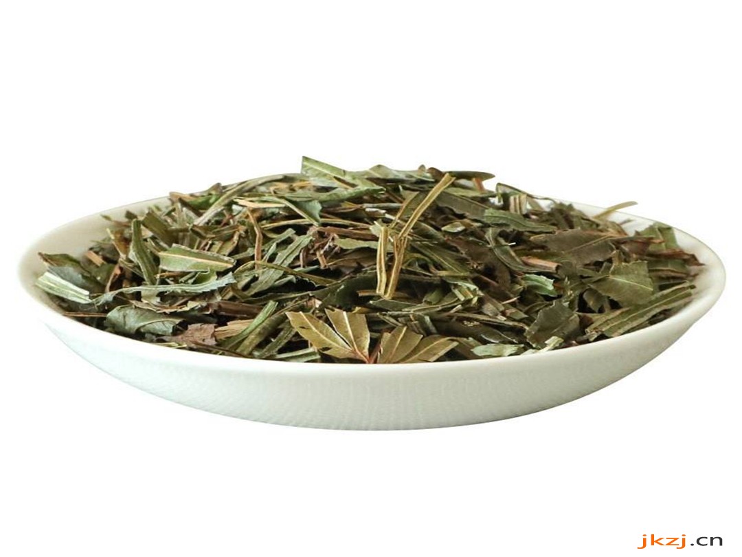 凤尾草