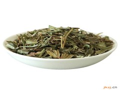 凤尾草的功效与作用，凤尾草的图片，凤尾草用法及注意事项