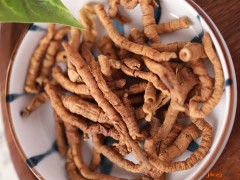 制远志的功效与作用，制远志的图片，制远志用法及注意事项