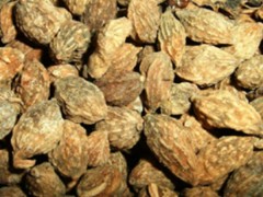 益智仁的功效与作用，益智仁的图片，益智仁用法及注意事项