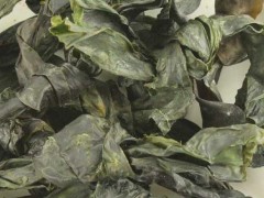 昆布的功效与作用，昆布的图片，昆布用法及注意事项