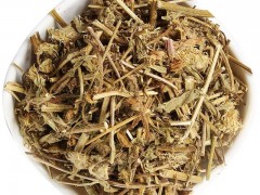 灯盏花的功效与作用，灯盏花的图片，灯盏花用法及注意事项