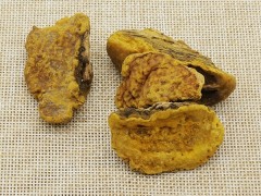 桑黄的功效与作用，桑黄的图片，桑黄用法及注意事项