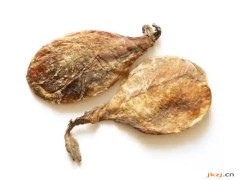 熊胆粉的功效与作用，熊胆粉的图片，熊胆粉用法及注意事项