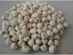 川贝母的功效与作用，川贝母的图片，川贝母用法及注意事项