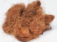 玉米须的功效与作用，玉米须的图片，玉米须用法及注意事项