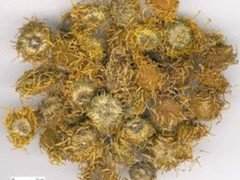 旋覆花的功效与作用，旋覆花的图片，旋覆花用法及注意事项