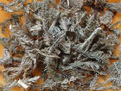 伸筋草的功效与作用，伸筋草的图片，伸筋草用法及注意事项