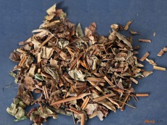 干鱼腥草的功效与作用，干鱼腥草的图片，干鱼腥草用法及注意事项