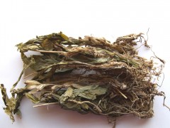 见血清的功效与作用，见血清的图片，见血清用法及注意事项