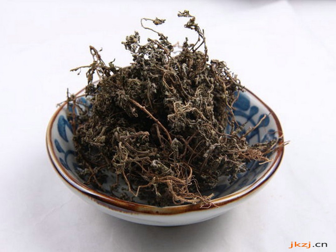 鹅不食草