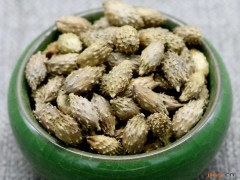 苍耳子的功效与作用，苍耳子的图片，苍耳子用法及注意事项