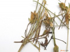 青叶丹的功效与作用，青叶丹的图片，青叶丹用法及注意事项