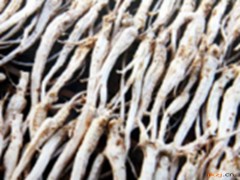 桔梗芦头的功效与作用，桔梗芦头的图片，桔梗芦头用法及注意事项