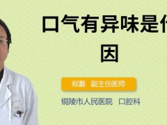 口气有异味是什么原因