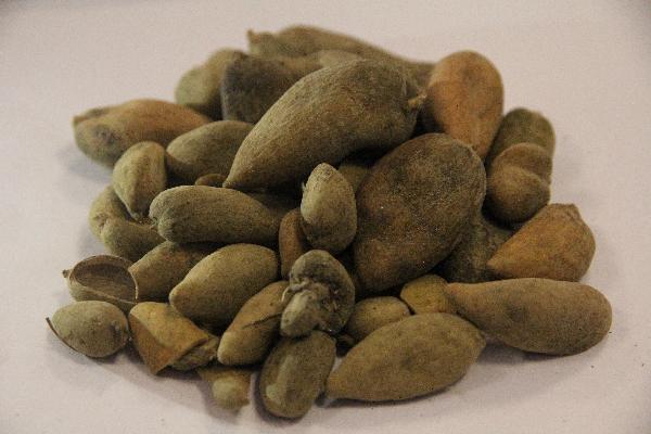 心理健康